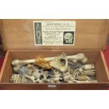 An early 20th century Adam Rouilly & Co half skeleton, housed in original wooden crate.