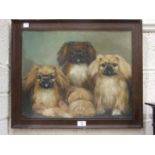 Hilde Walker "Study of three pedigree Pekingese dogs, Wu Fee, WeeBoy, Wee Sing" inscribed verso with