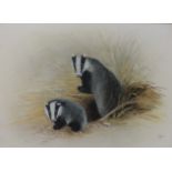 Nance, 'Study of two badgers', signed oil on canvas, 49.5 x 75cm and other prints.