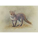 Nance, 'Study of a Fox', signed oil on canvas, 39.5 x 49.5cm, R Charters, 'Still life roses in