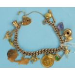 A 9ct gold curb link bracelet with thirteen gold charms, a half sovereign (soldered) and an amethyst