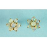 A pair of opal cluster earrings on gold mounts.