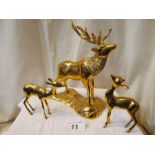 Sale Item:    BRASS DEER   Vat Status:   No Vat   Buyers Premium:  This lot is subject to a Buyers