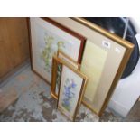 A small collection of botanical watercolours signed J Searle and J Reed