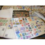 A carton of stamp albums to include world and GB