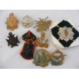 A selection of South African cap badges
