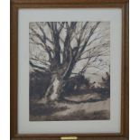Emile BERNARD (1868-1941)
Le grand arbre 
Lavis d'encre brune, signé en bas à droite. 
32 x 22 cm