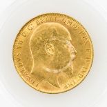 GB - Souverein Edward VII, 1904, GOLD, 8 Gramm, ssAufrufpreis: 230 EUR