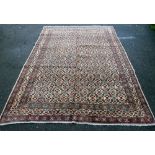 Mood cream ground carpet with multiple borders, 120" x 83"