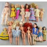 Collection of dolls including Barbie,Provenance:  From a single owner collection of over 300 dolls