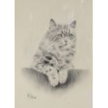 J W Hellings - charcoal of a study of a cat, signed, 30 x 23cms, framed