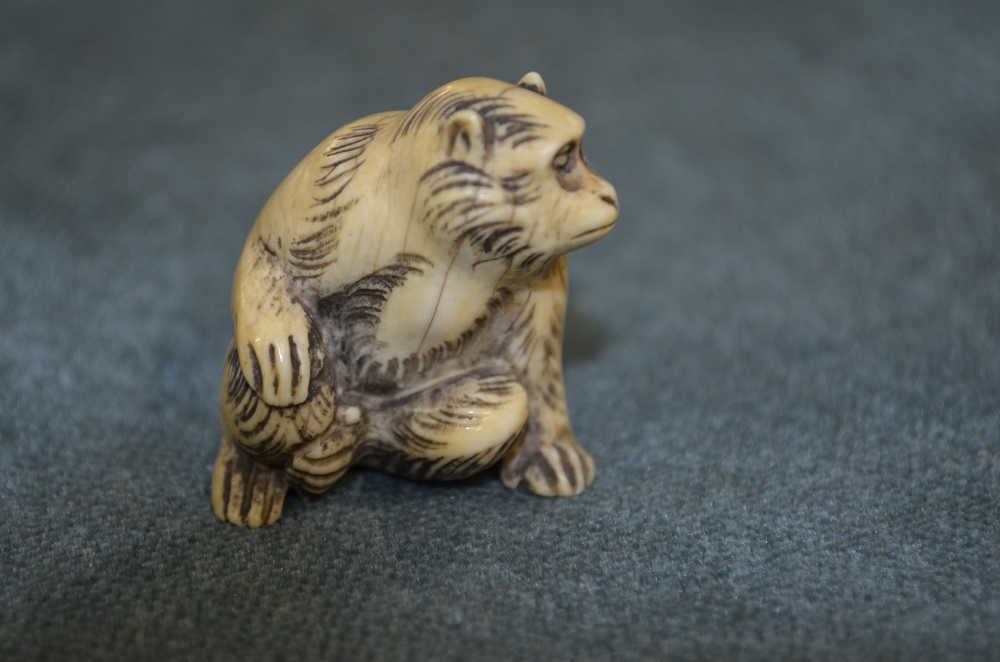 Japanese carved Ivory Netsuke designed as a seated monkey signed on base 'School of Massano'Minor - Image 3 of 4