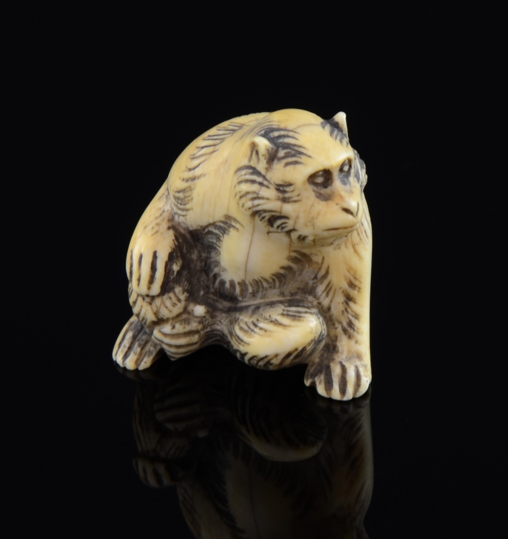Japanese carved Ivory Netsuke designed as a seated monkey signed on base 'School of Massano'Minor