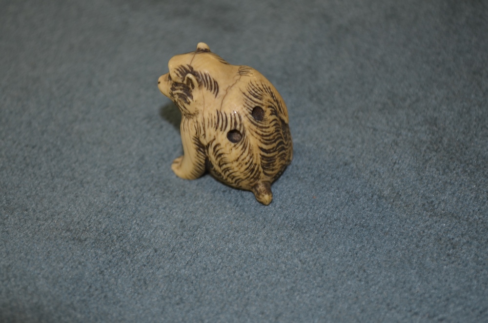 Japanese carved Ivory Netsuke designed as a seated monkey signed on base 'School of Massano'Minor - Image 2 of 4