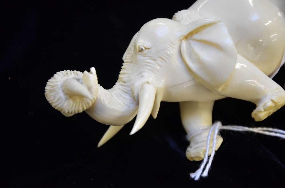 Japanese carved ivory elephant in a walking pose, with a tusk in it's trunk, on hardwood base, - Image 6 of 6
