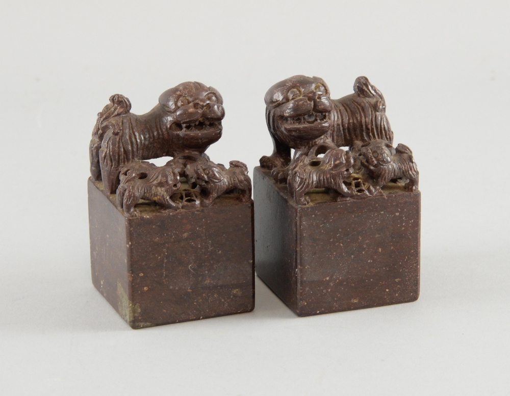 Pair of Chinese brown soapstone carvings of dogs of fo and puppies on integral square bases, 8.5cm