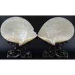 Pair of 19th century Chinese Mother of pearl shells carved with dragons and figures, 24cm by 28cm on