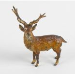 A 19th century Austrian cold painted figure. Modelled as a stag in standing pose, 2.75 (7 cm)