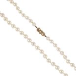 A cultured pearl single-strand necklace. Comprising a slightly graduated series of seventy