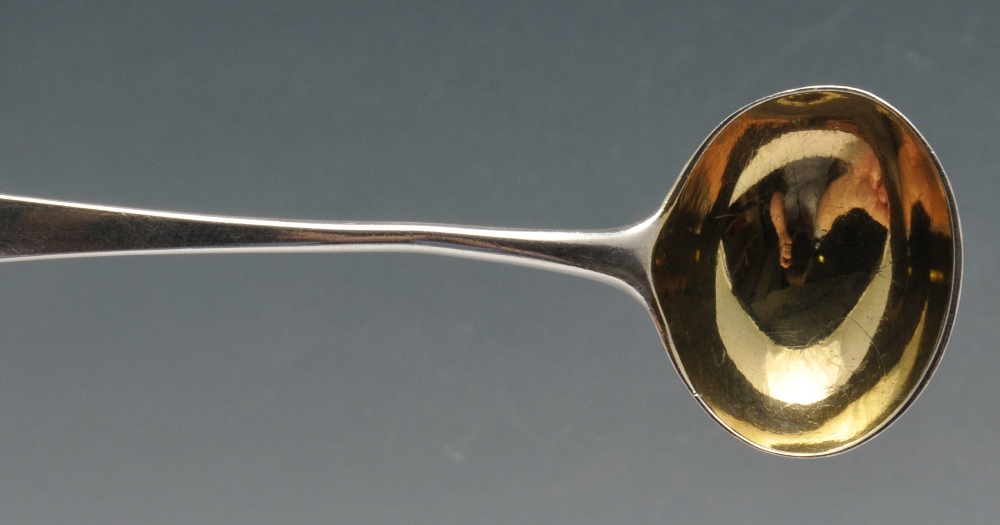 A pair of George III silver condiment spoons, having initialled terminals and gilt bowls. Hallmarked - Image 5 of 6