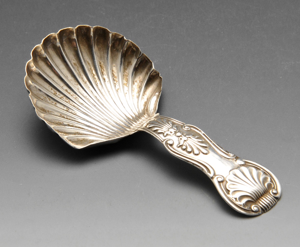 A William IV silver caddy spoon, in King's pattern with shell bowl, hallmarked Newcastle 1837 with