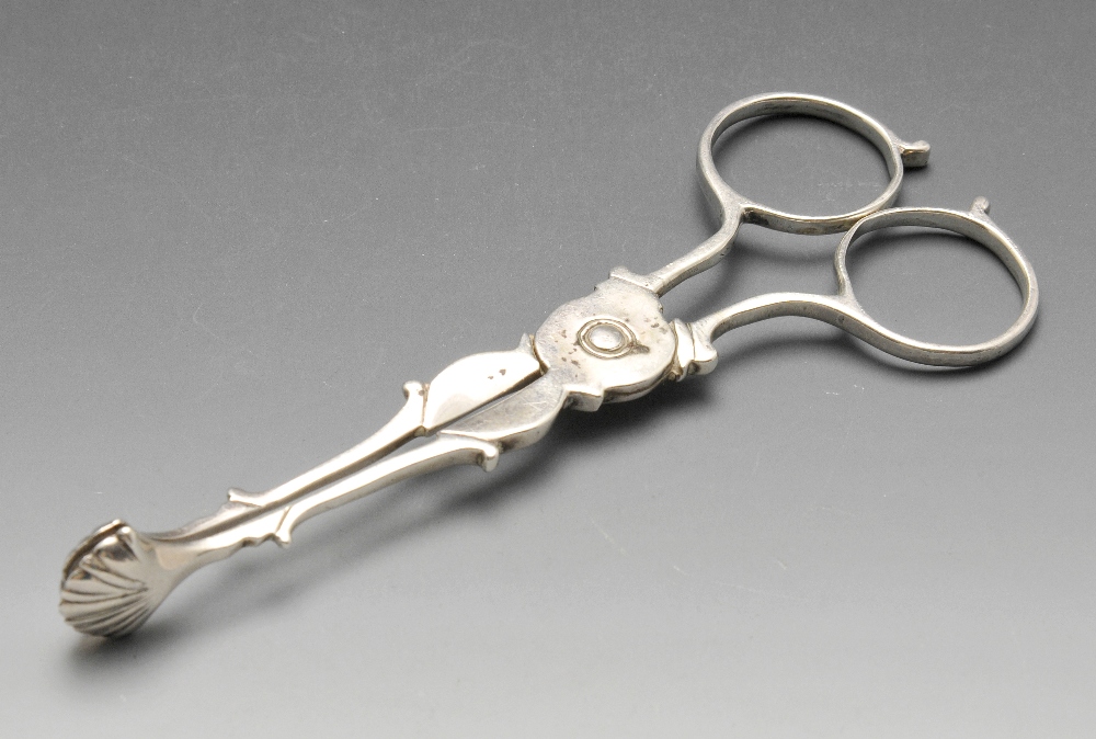 A pair of Edwardian silver scissor action sugar tongs with scroll arms and shell bowls. Hallmarked ,