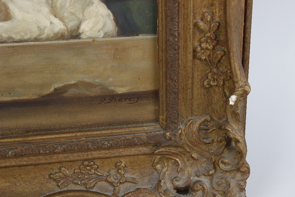 Oil on canvas (late 19th/early 20th century) Portrait study of a terrier Signed to lower right - Image 3 of 3