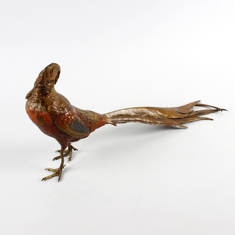 A fine large Austrian cold-painted bronze model of a golden (Asiatic) pheasant, by Franz Bergman.