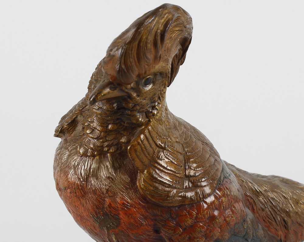 A fine large Austrian cold-painted bronze model of a golden (Asiatic) pheasant, by Franz Bergman. - Image 2 of 3