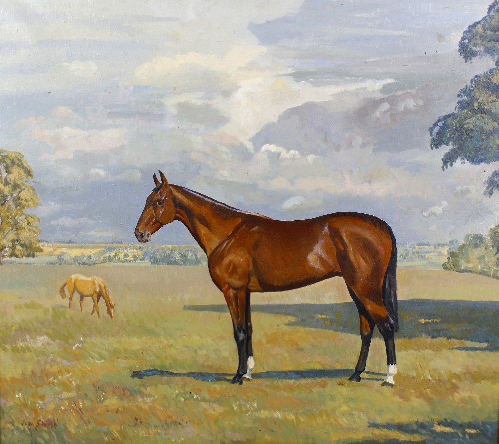 Three paintings of horses. Comprising: Joan Sleigh, a racehorse in a field, oil on canvas, 23.25 x