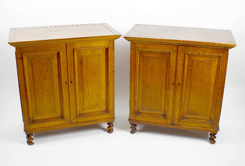 A fine pair of oak specimen cabinets. The plain rectangular top over twin doors, opening to reveal