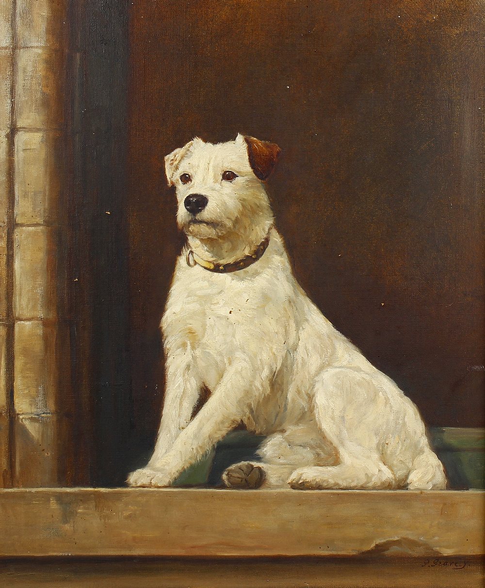 Oil on canvas (late 19th/early 20th century) Portrait study of a terrier Signed to lower right