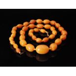 A natural amber single row bead necklace