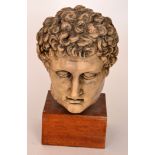 After the Antique - A cast resin bust of