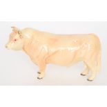 A Beswick Charolais Bull, cream gloss, m