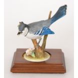 A Crown Staffordshire study of a bird by Doris Lindner entitled Blue Jay 82,