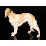 A Royal Worcester study of a Borzoi modelled by Doris Lindner with a sand and white coat,