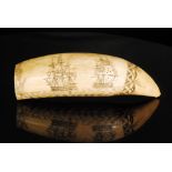 A large 19th Century scrimshaw marine tooth, possibly whale, finely carved with a ship near a fort,