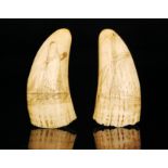 A pair of 19th Century scrimshaw marine teeth,