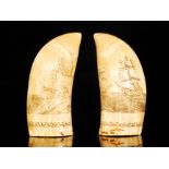 A pair of large 19th Century scrimshaw marine teeth, possibly whale,