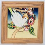 A Moorcroft Pottery plaque designed by Rachel Bishop and decorated with a dove perched upon a