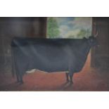 ENGLISH PRIMITIVE SCHOOL - Portrait of a prize bull in a barn, oil on canvas, framed,