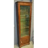 A 20th Century mahogany side cabinet of narrow proportions,