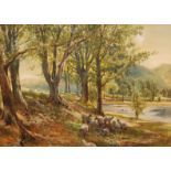 THOMAS GREENHALGH (1848-1906) - Sheep grazing in a sunlit glade, watercolour, framed,