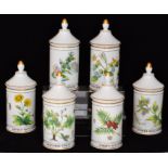 A set of six contemporary Limoges cylindrical drug jars and spire covers,