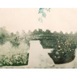 PATRICK PROCKTOR (1936-2003) - 'Queen Mary's Rose Garden, Regent's Park, in November',