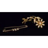 An Edwardian seed pearl flower brooch, formed as a single flower with seed pearl set head and stem,