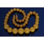 A polished amber coloured single row bead necklace formed of forty three near spherical graduating