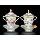 A pair of late 18th Century hand painted botanical Derby chocolate cups and stands attributed to