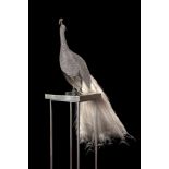 Clarita BRINKERHOFF Peacock, Homage to Hera "Albino" 25,854 pieces Of Swarovski crystals, natural